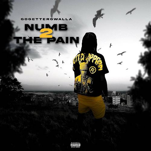 GoGetterGwalla - Numb 2 The Pain cover