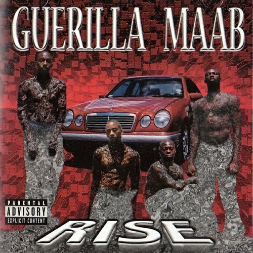 Guerilla Maab - Rise cover