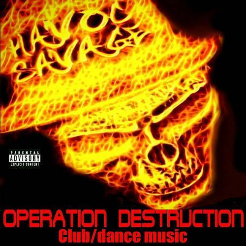 Havoc Savage - Operation Destruction cover