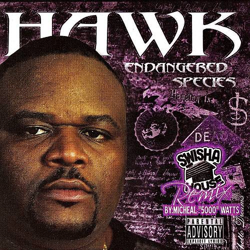 Hawk - Endangered Species (swisha house remix) cover