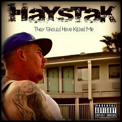 Haystak - They Should Have Killed Me cover