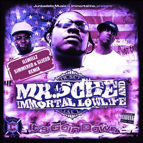 Mr. Sche & Immortal Lowlife - It`s Goin Down (slicced & simmered) cover