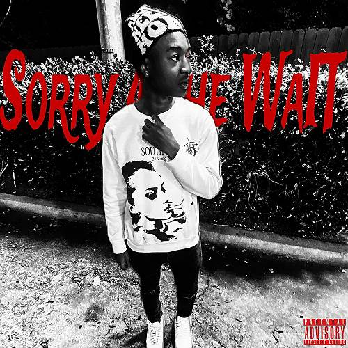 IX Nino Stackz - Sorry 4 The Wait cover