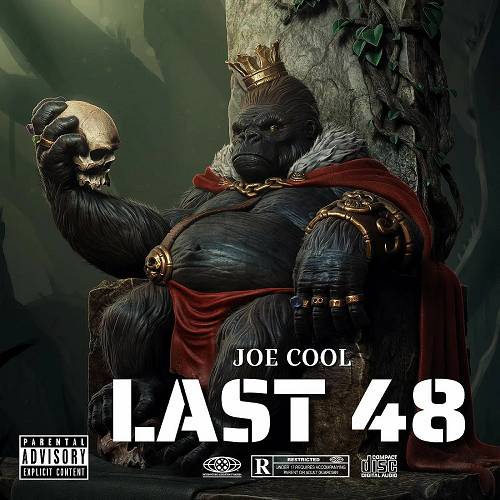 Joe Cool - Last 48 cover