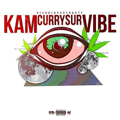 Kam Curry - SurVIBE cover