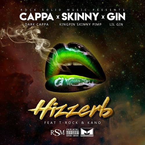 Dark Cappa, Kingpin Skinny Pimp & Lil Gin - Hizzerb cover