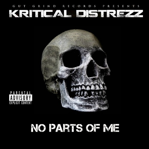 Kritical Distrezz - No Parts Of Me cover