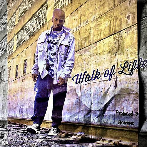$kywave - Walk Of Life cover