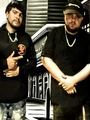 Latin Flex photo