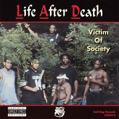 Life After Death - Victim Of Society cover