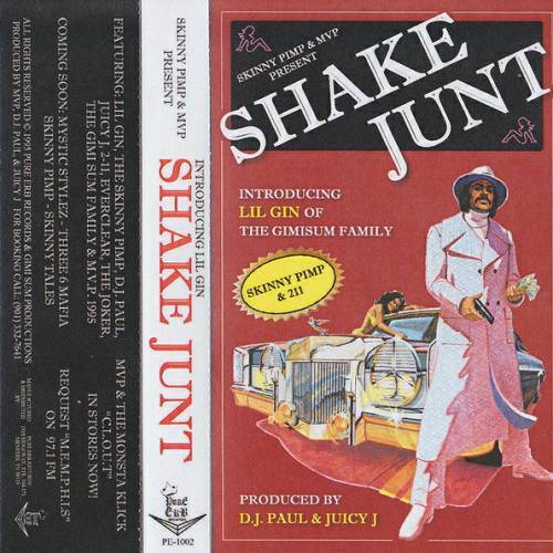 Lil Gin - Shake Junt cover