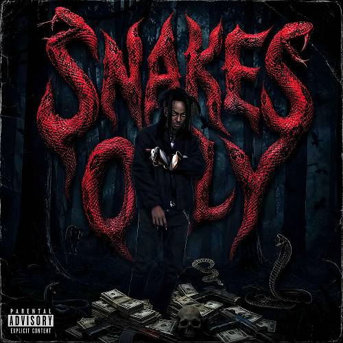 Lit Sniper - Snakes Only cover