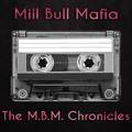 Mill Bull Mafia photo