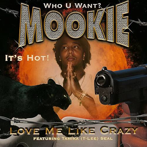 Mookie - Love Me Like Crazy cover