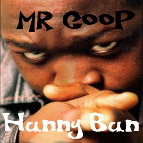 Mr. Coop - Hunny Bun cover