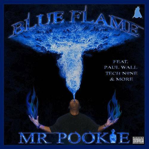 Mr. Pookie - Blue Flame cover