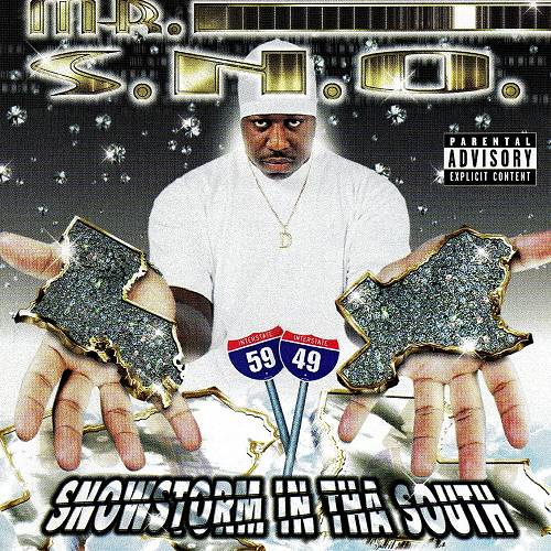 Mr. S.N.O. - Snowstorm In Tha South cover