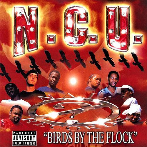 N.C.U. - Birds By The Flock cover