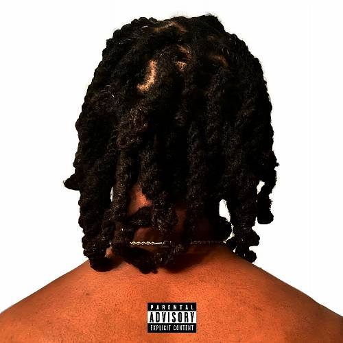 NeverWasteTime - No Looking Back cover