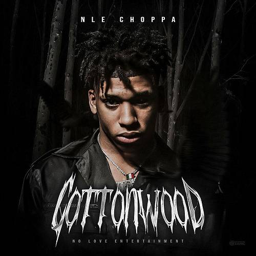 NLE Choppa - Cottonwood cover