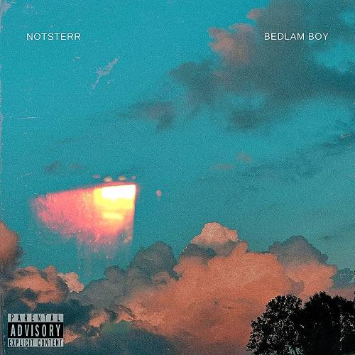 Notsterr - Bedlam Boy cover