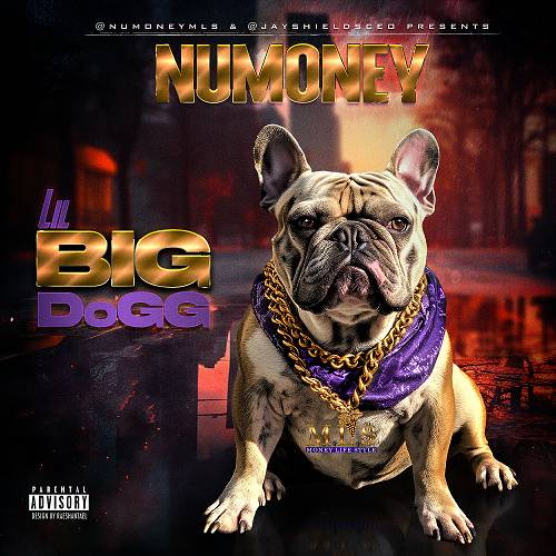 NuMoney - Lil Big DoGG cover