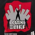 Oak Cliff photo
