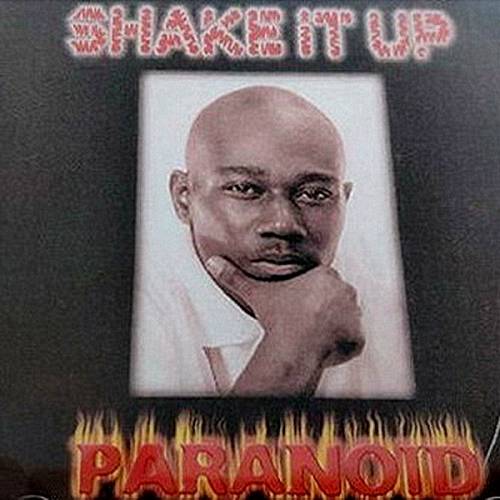 Paranoid - Shake It Up cover