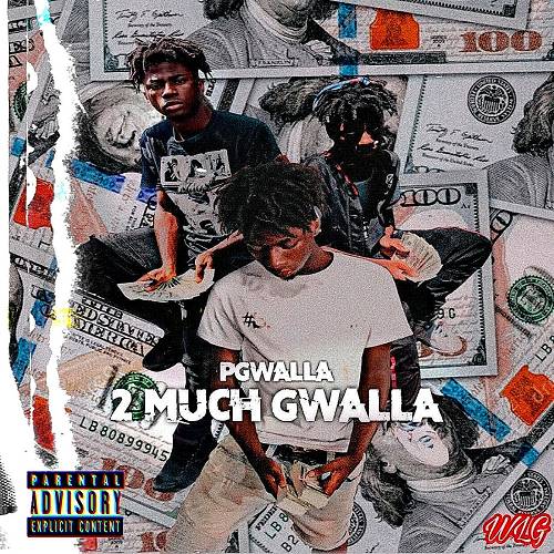 PGwalla - 2 Much Gwalla cover