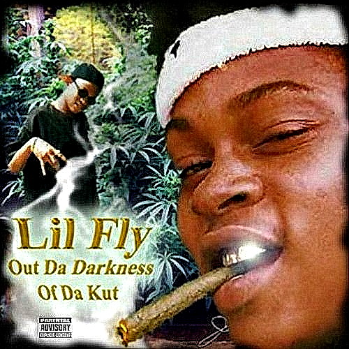Lil Fly - From Da Darkness Of Da Kut cover
