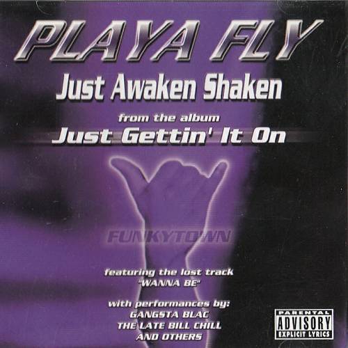 Playa Fly - Just Awaken Shaken cover