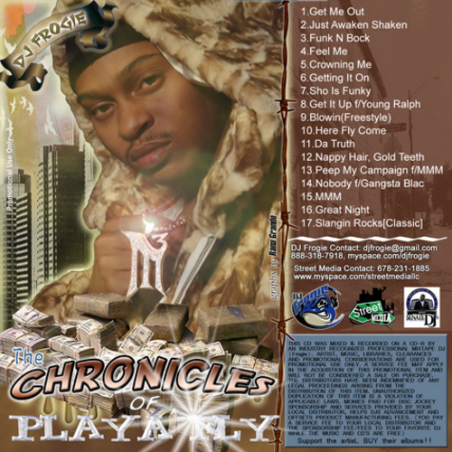 Playa Fly - The Chronicles Of Playa Fly cover