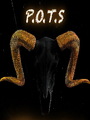 P.O.T.S Corleone photo