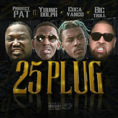 Project Pat - 25 Plug cover