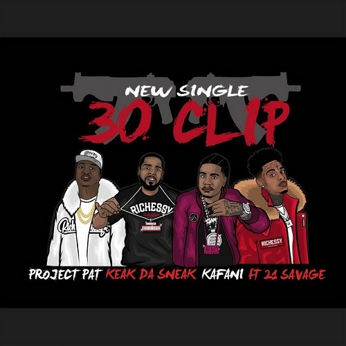 Project Pat - 30 Clip cover