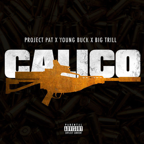 Project Pat - Calico cover
