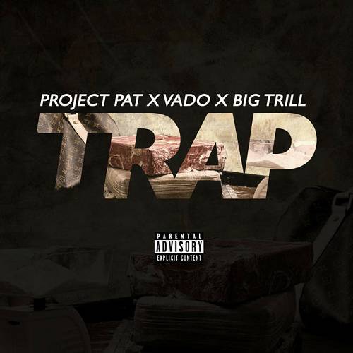 Project Pat - Trap cover