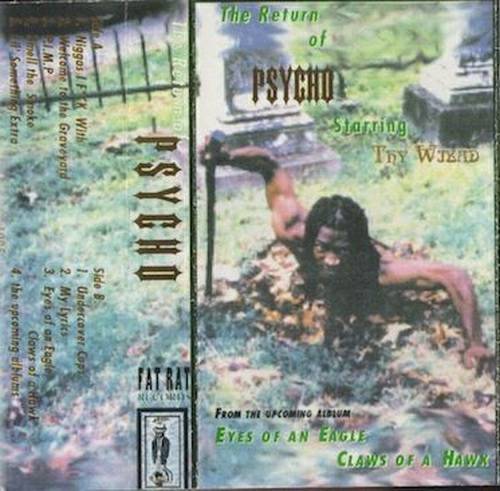 Psycho - The Return Of Psycho cover
