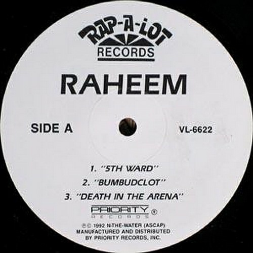 Raheem - The Invincible (12'' Vinyl, 33 1-3 RPM, Sampler) cover