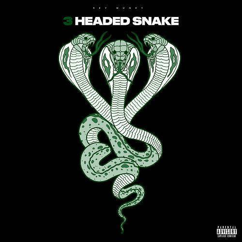 Rey Muney - 3 Headed Snake cover