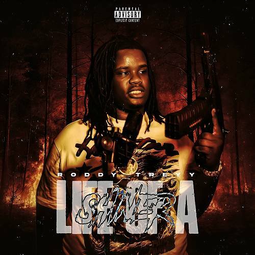 RoddyTreyy - Life Of A Shiner cover