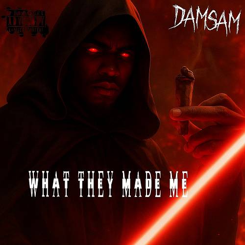 DamSam - What They Made Me cover