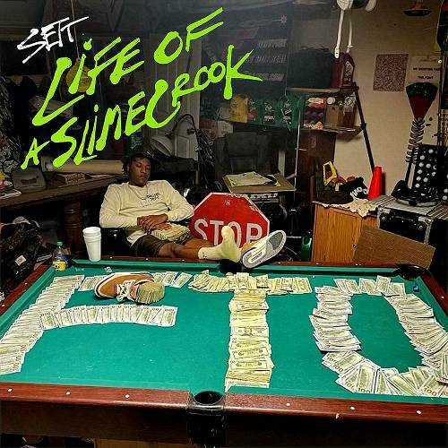 Sett - Life Of A SlimeCrook cover