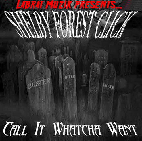 Shelby Forest Click - Call It Wha Cha Want cover