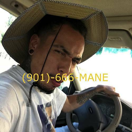 Shogun - (901)-666-MANE cover