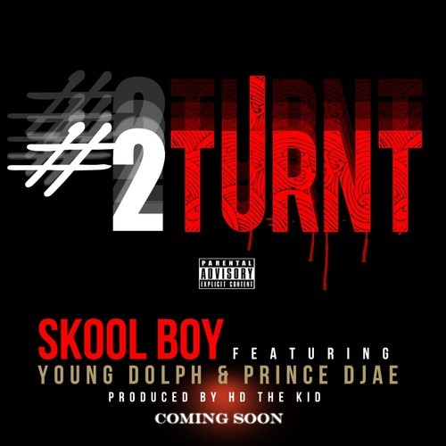 Skool Boy - 2Turnt cover