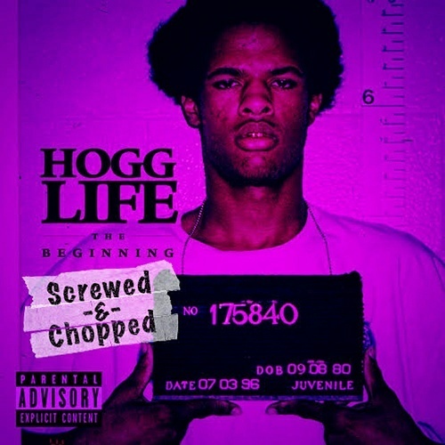Slim Thug - Hogg Life. The Beginning (screwed & chopped) cover