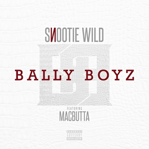 Snootie Wild - Bally Boyz cover