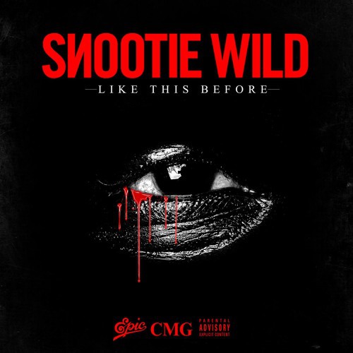 Snootie Wild - Like This Before cover