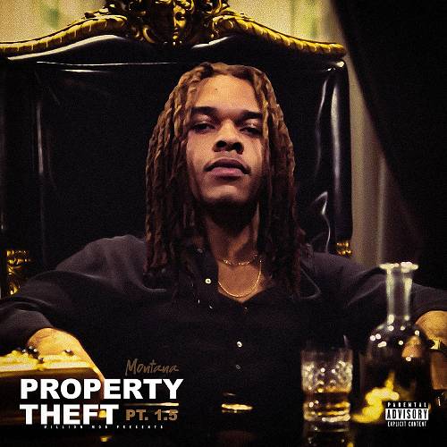 Montana - Property Theft 1.5 cover